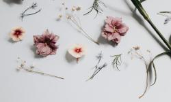 Featured image of post 我要测试